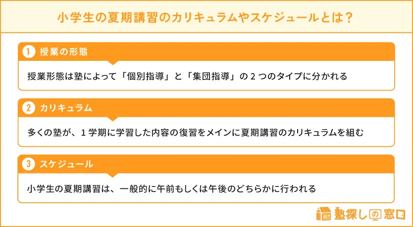 小学生】夏期講習おすすめ16塾｜選び方や費用相場、活用法も解説【塾