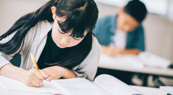 進学校や芸術系の学校など、特色ある学校が多数立地