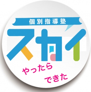 福岡県にある学習塾『個別指導塾スカイ』のロゴ画像
